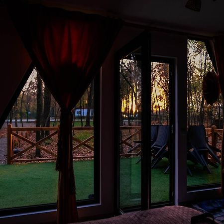 Artarica Villa Calugarenii  Ngoại thất bức ảnh