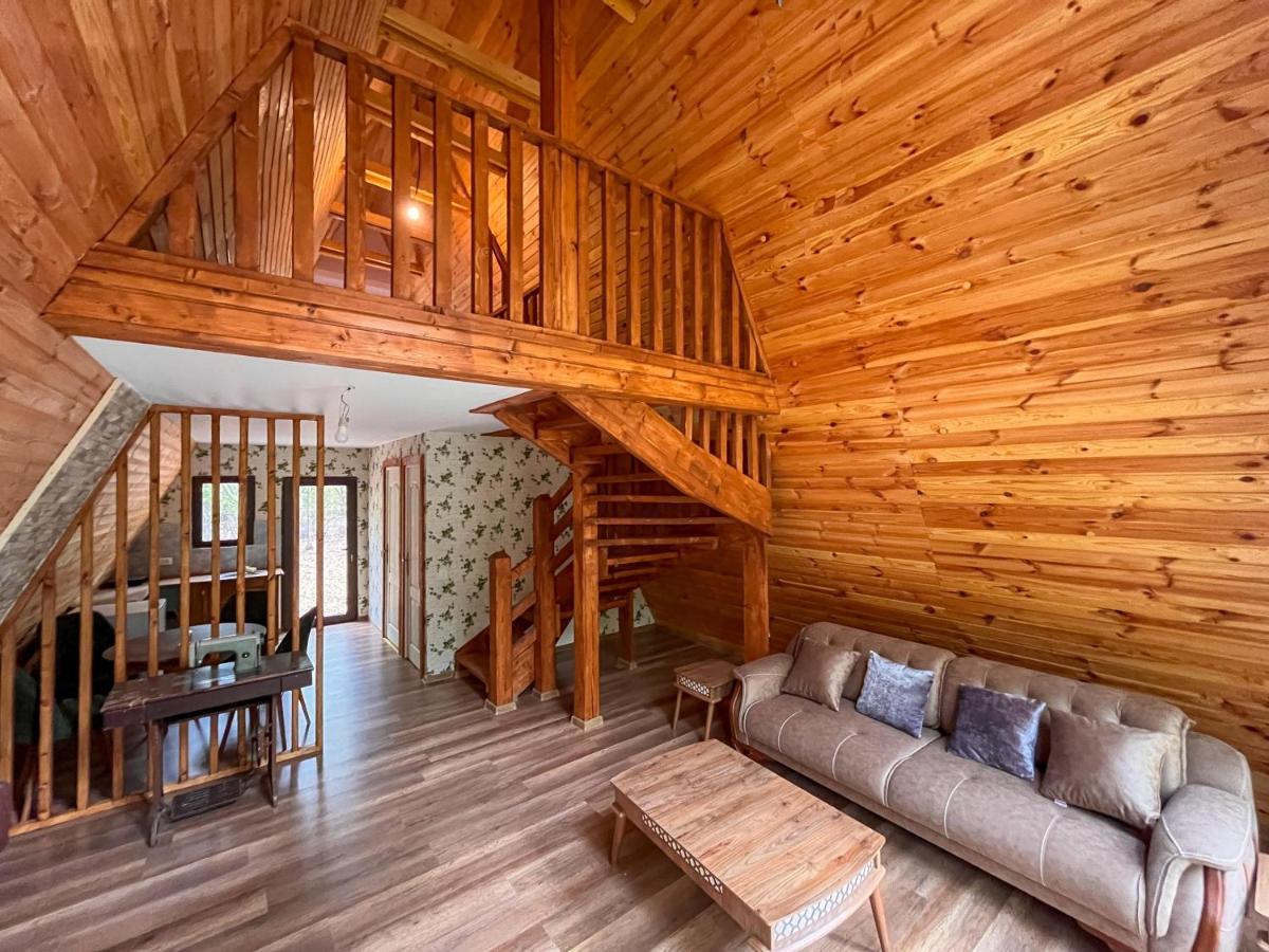 Artarica Villa Calugarenii  Ngoại thất bức ảnh
