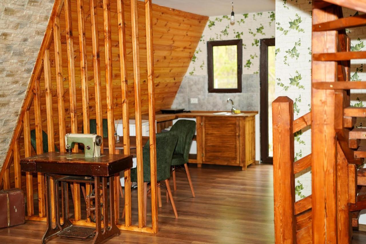 Artarica Villa Calugarenii  Ngoại thất bức ảnh