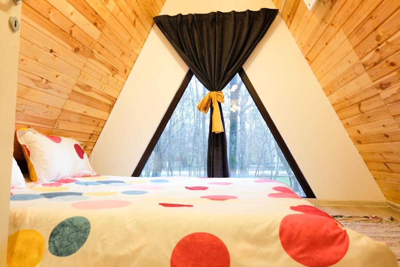 Artarica Villa Calugarenii  Ngoại thất bức ảnh