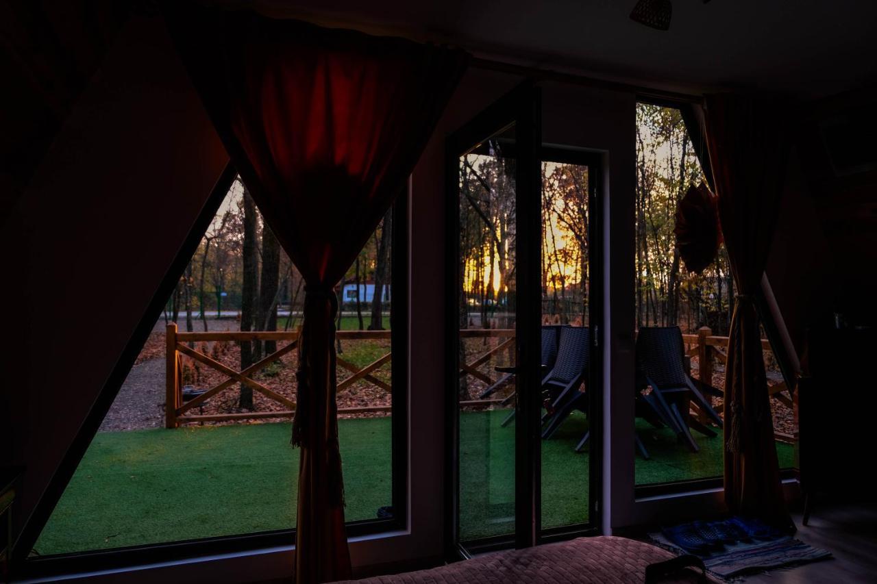 Artarica Villa Calugarenii  Ngoại thất bức ảnh